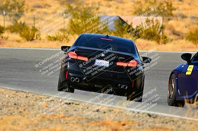 media/Nov-16-2024-Extreme Speed (Sat) [[6587d07cc4]]/Gold Group/Session 3 (The Bowl)/